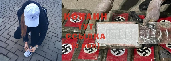 молекула духа Аркадак