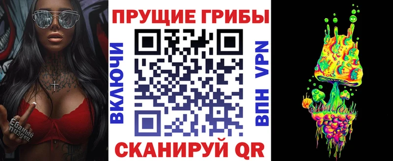 Псилоцибиновые грибы Psilocybe  Мышкин 